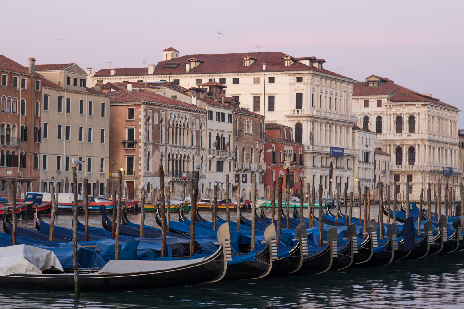 Blick auf den Canale Grande