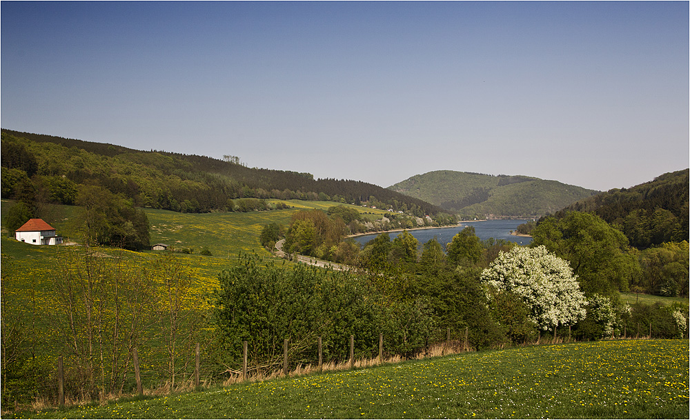 :: ~ Blick auf den Diemelsee ~ ::