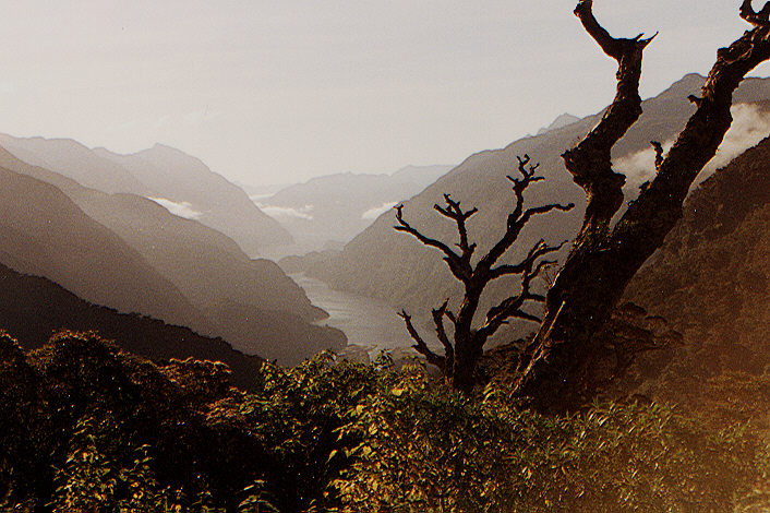 Blick auf den Doubtful Sound