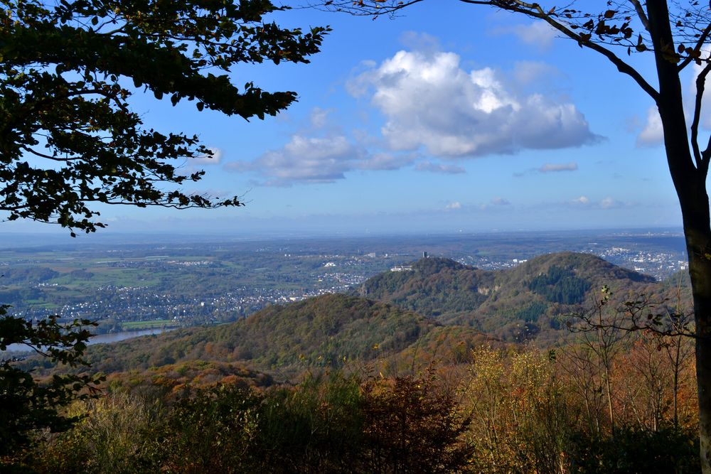 Blick auf den Drachenfels