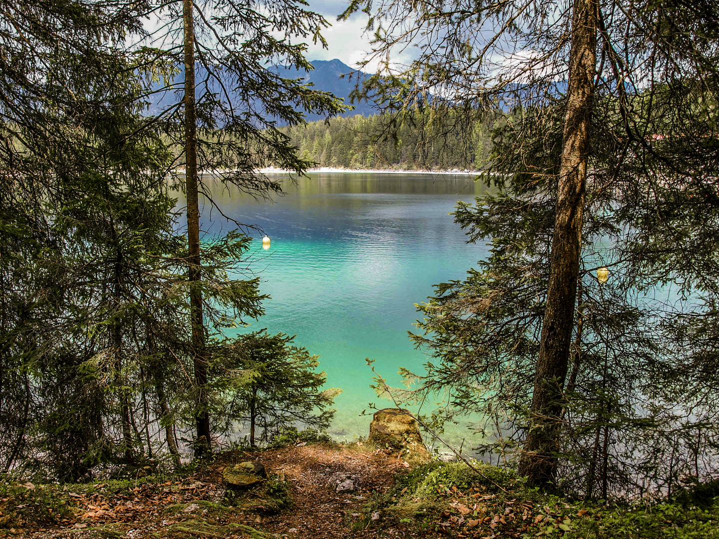 Blick auf den Eibsee