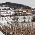 Blick auf den Eichkogel ...