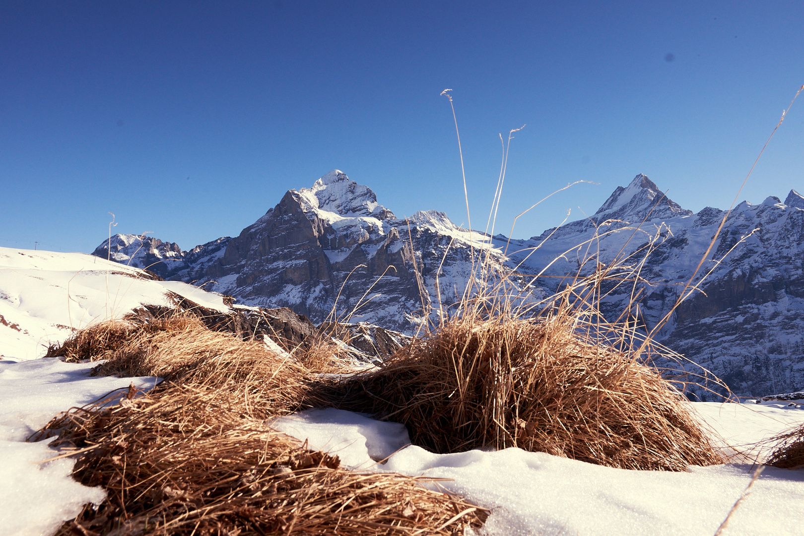 Blick auf den Eiger