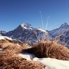 Blick auf den Eiger