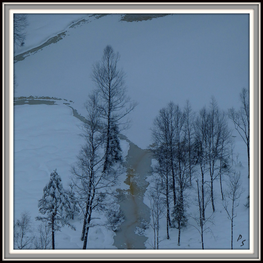 °°°° Blick auf den Ellbachsee °°°°