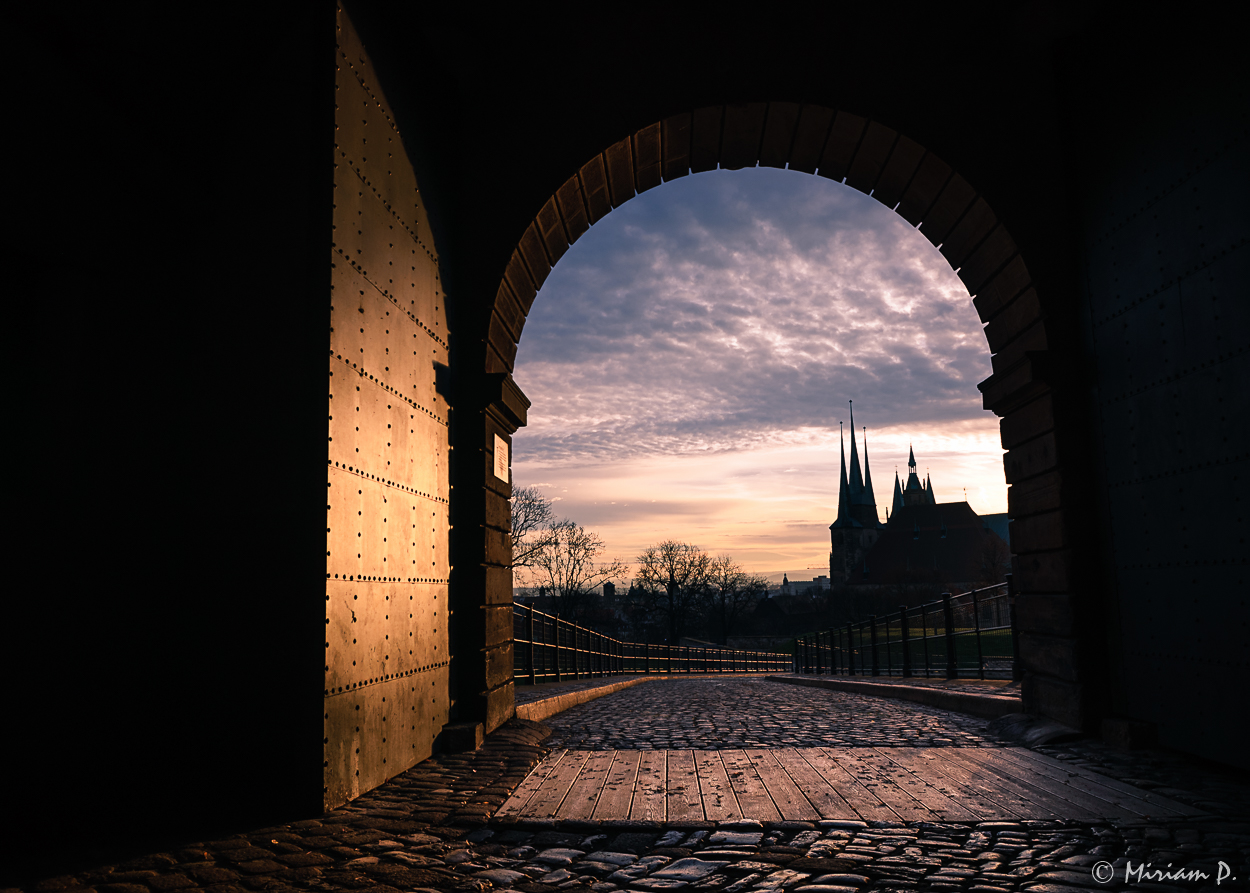 Blick auf den Erfurter Dom