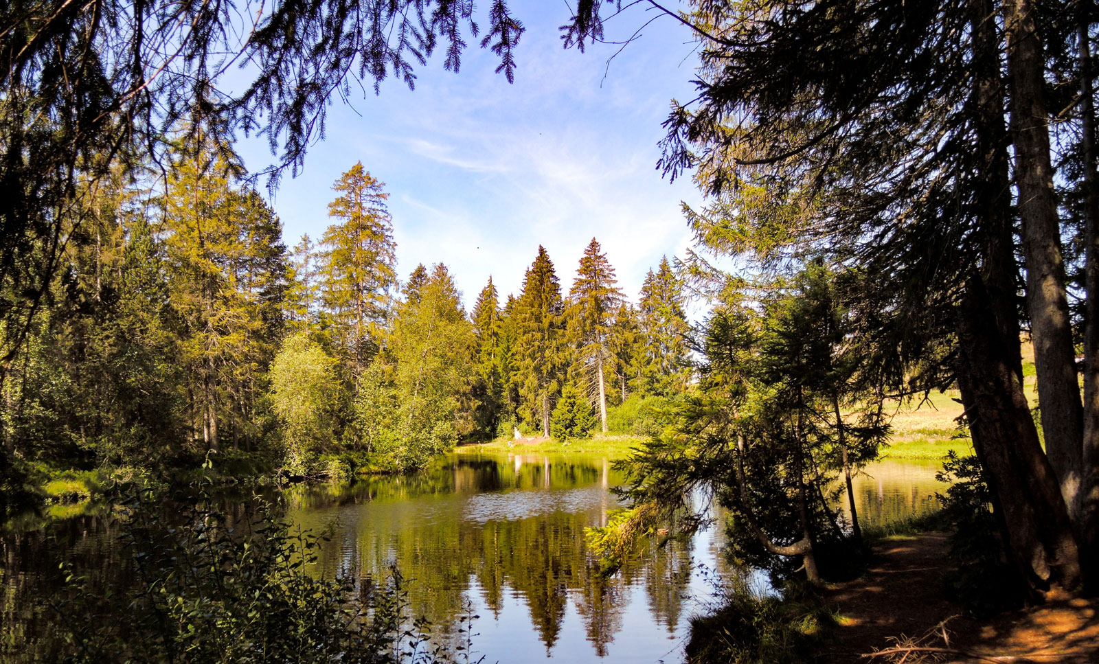 Blick auf den Etang