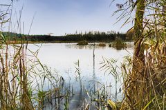 Blick auf den Faulen See