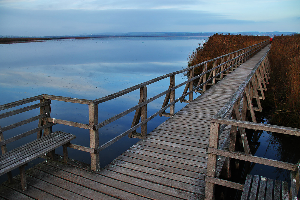 Blick auf den Federsee vom Steg aus