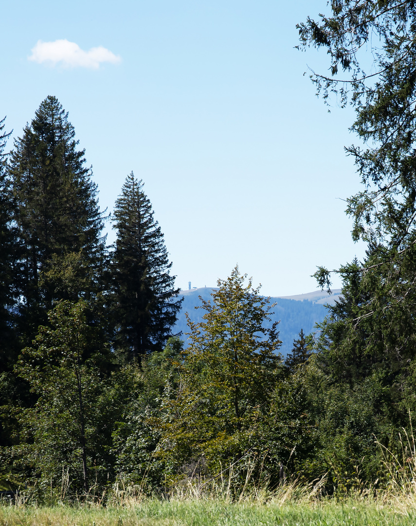 Blick auf den Feldberg