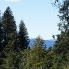 Blick auf den Feldberg