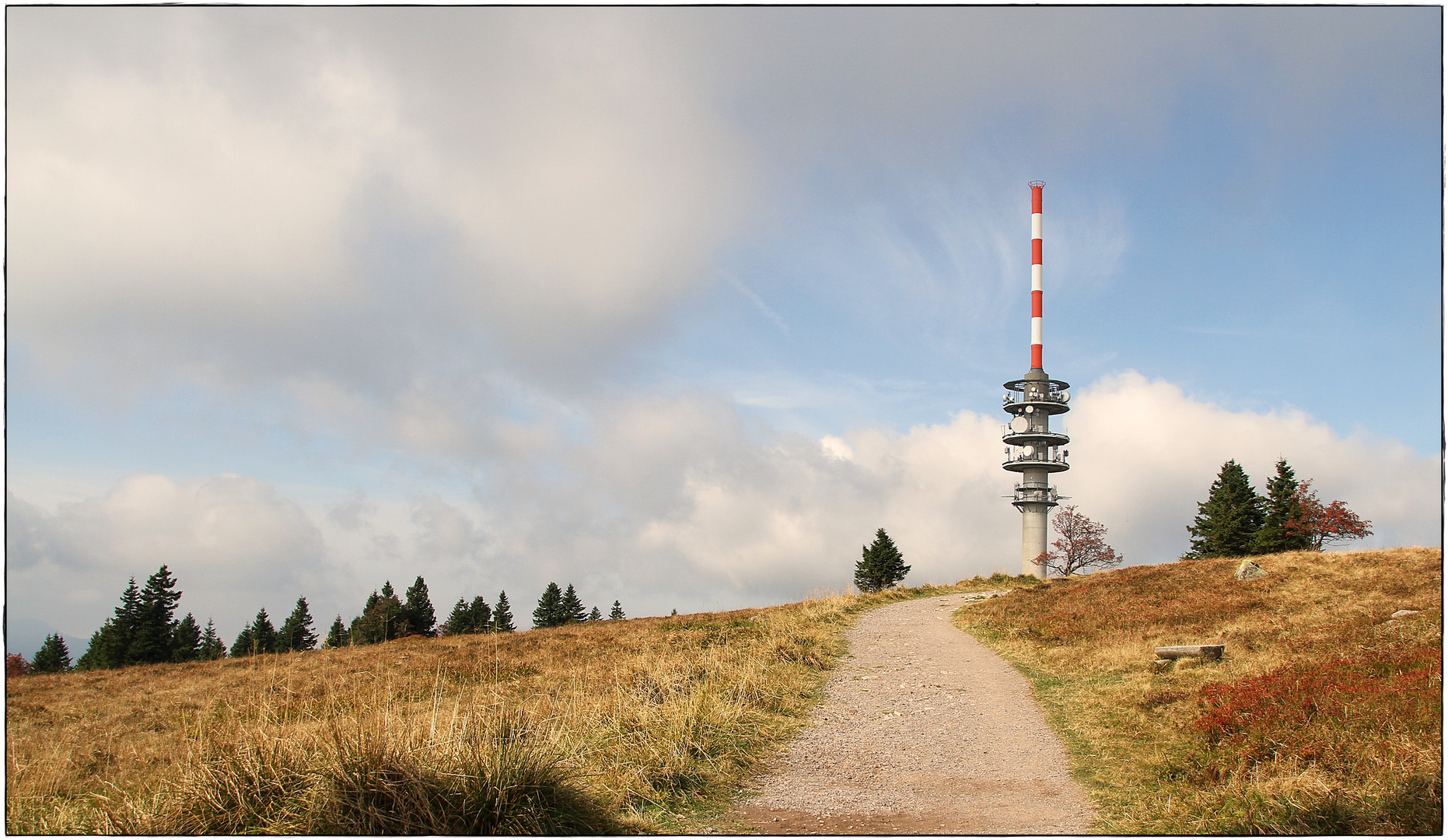 Blick auf den Feldbergturm