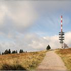 Blick auf den Feldbergturm