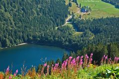 Blick auf den Feldsee vom Feldberg