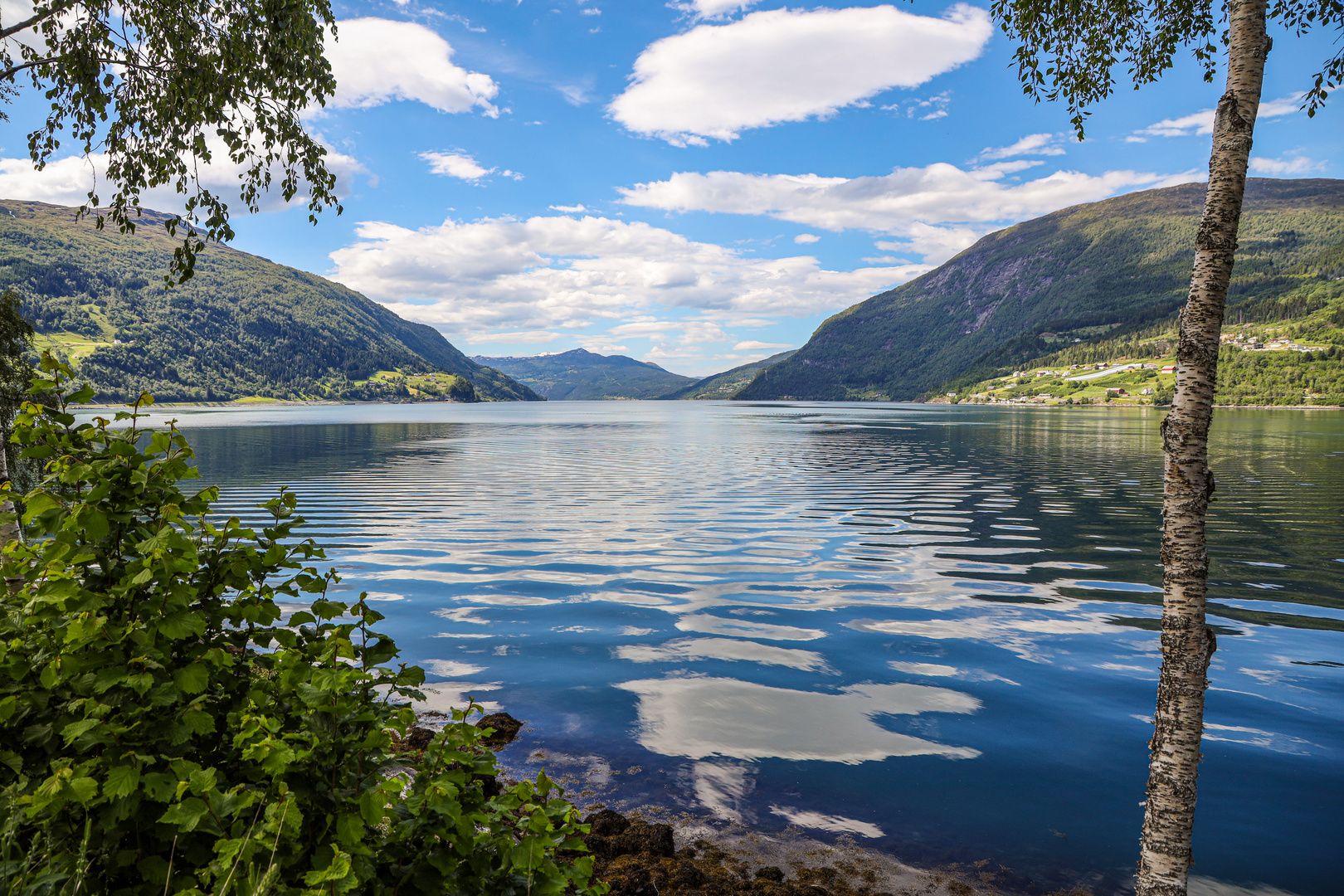 Blick auf den Fjord