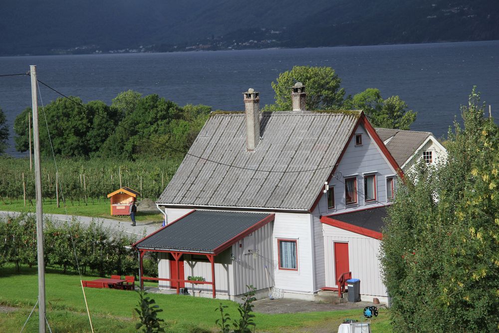 Blick auf den Fjord