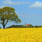 Blick auf den Florenberg