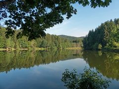 Blick auf den Freudensee