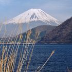 Blick auf den Fuji übern Motosuko Lake