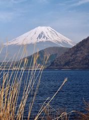 Blick auf den Fuji übern Motosuko Lake