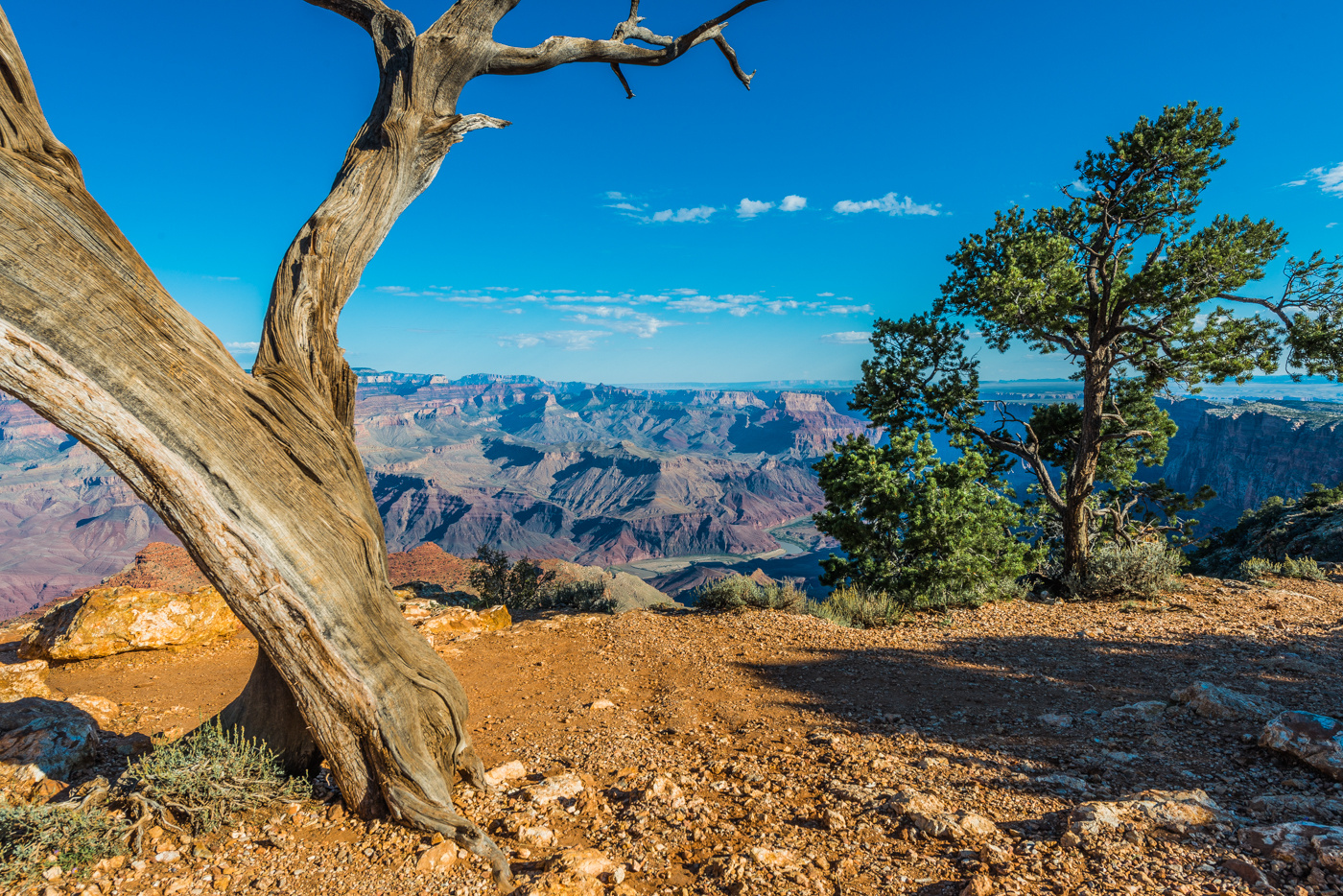 Blick auf den Gand Canyon