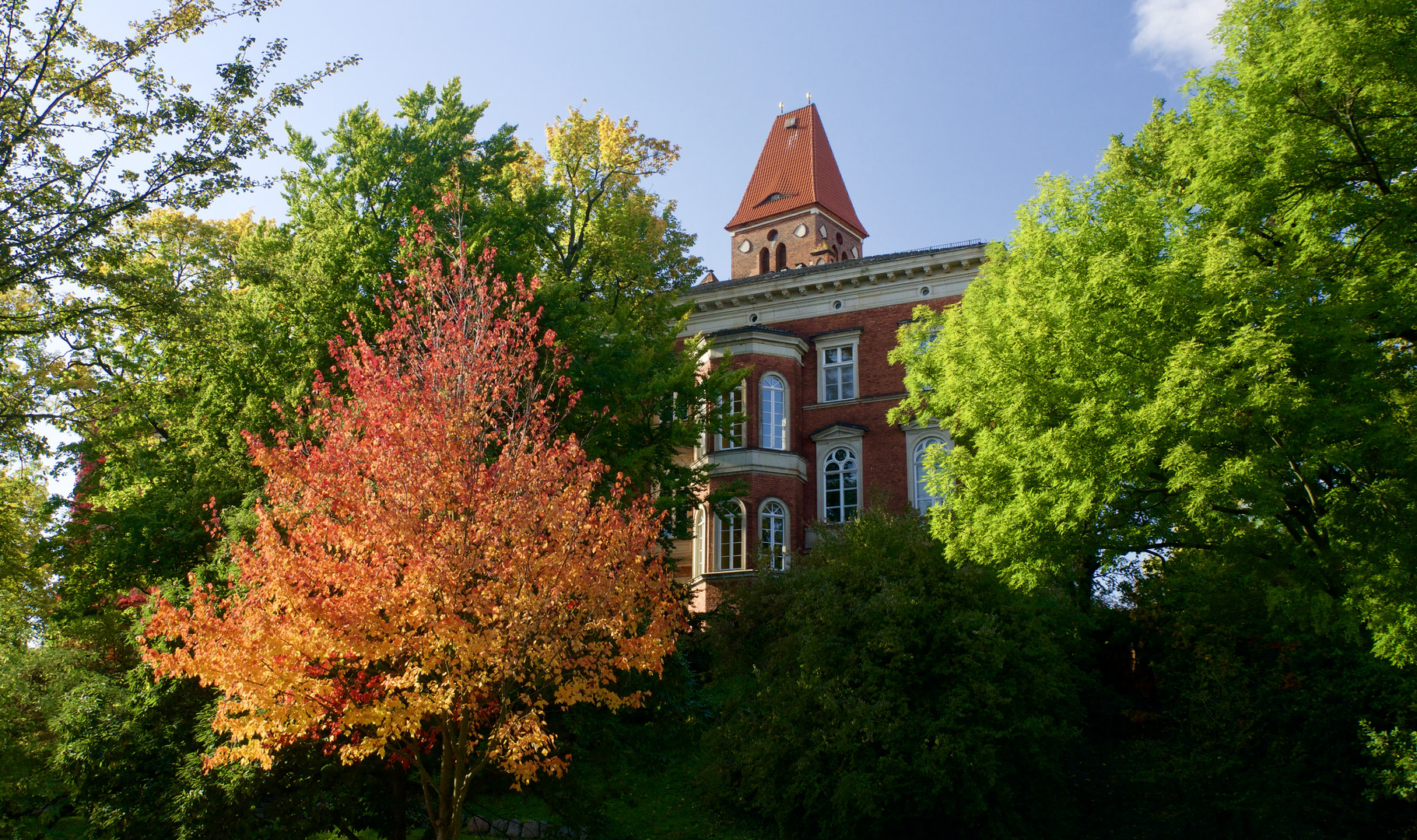 Blick auf den Gerichtsberg mit Gerichtsturm in Cottbus