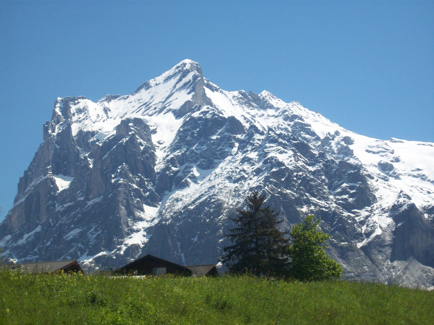 Blick auf den Gipfel  vom Wetterhorn  von Interlaken aus