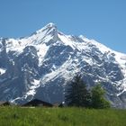 Blick auf den Gipfel  vom Wetterhorn  von Interlaken aus