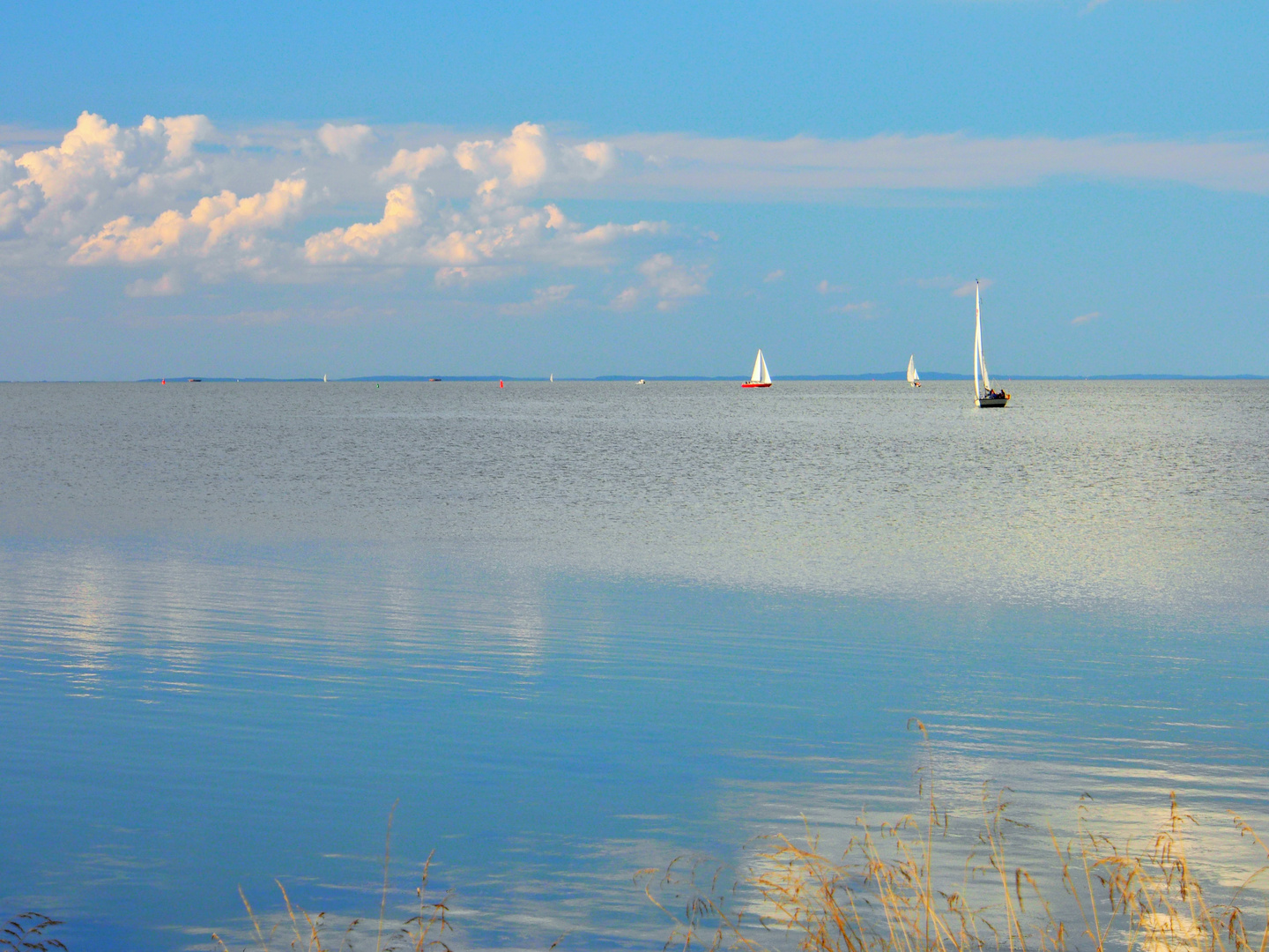 Blick auf den Greifswalder Bodden