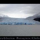 Blick auf den Grey Glacier