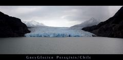 Blick auf den Grey Glacier