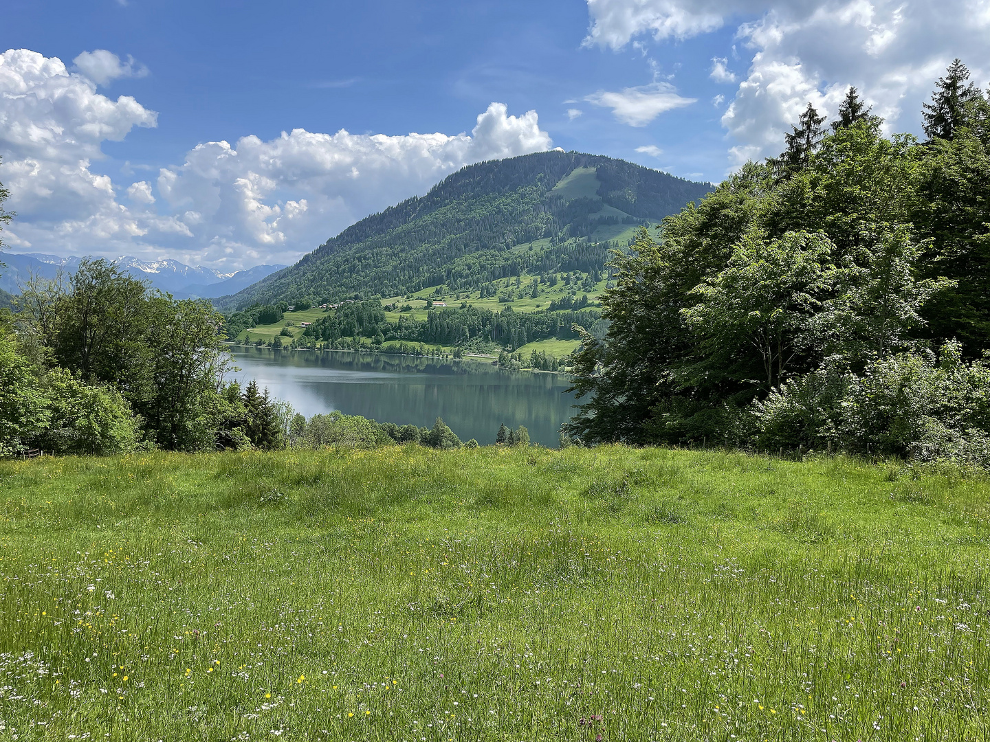 Blick auf den großen Alpsee