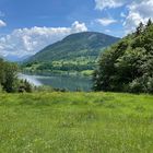 Blick auf den großen Alpsee