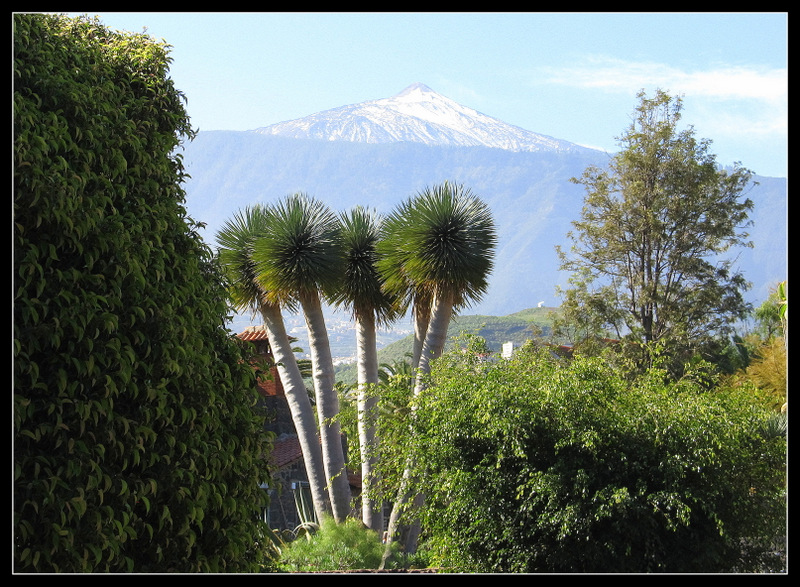 Blick auf den grossen Vulcan "Pico del Teide"