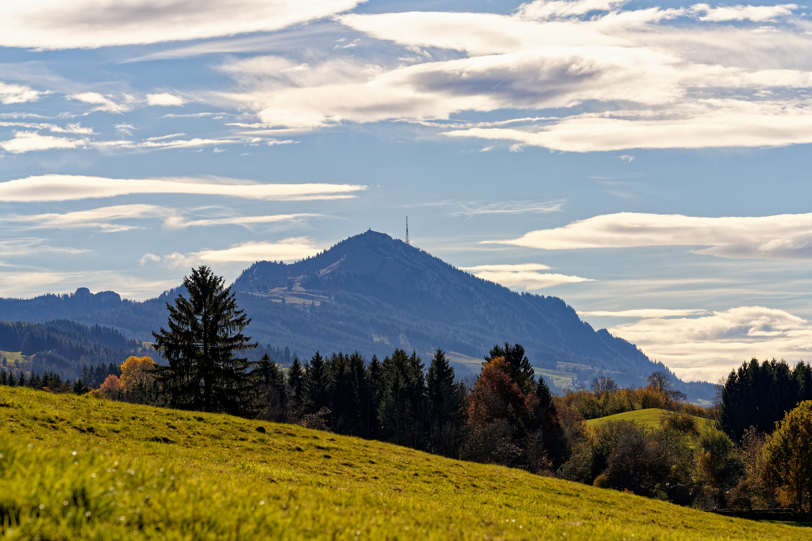 Blick auf den Grünten