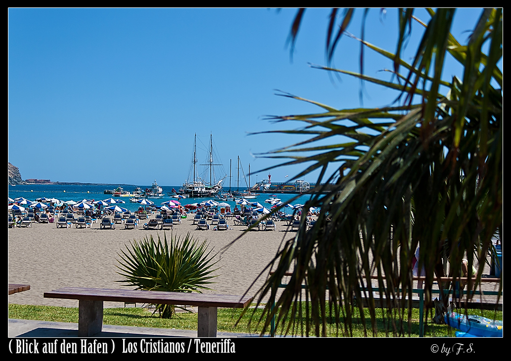 Blick auf den Hafen in Los Cristianos Teneriffa