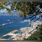 BLICK AUF DEN HAFEN VON GIBRALTAR