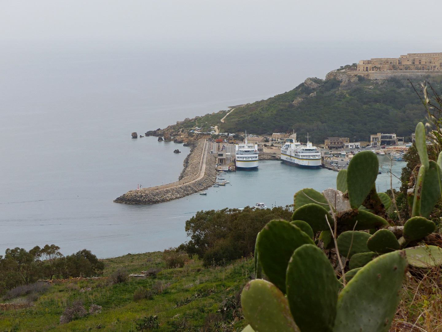 Blick auf den Hafen von Gozo