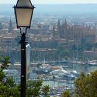 Blick auf den Hafen von Palma und die Kathedrale