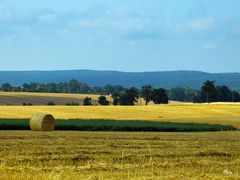 Blick auf den Hainich