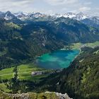 Blick auf den Haldensee