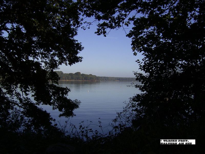 Blick auf den Halterner See