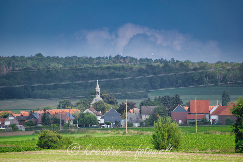 Blick auf den Hamberg mit dem Bismarkturm