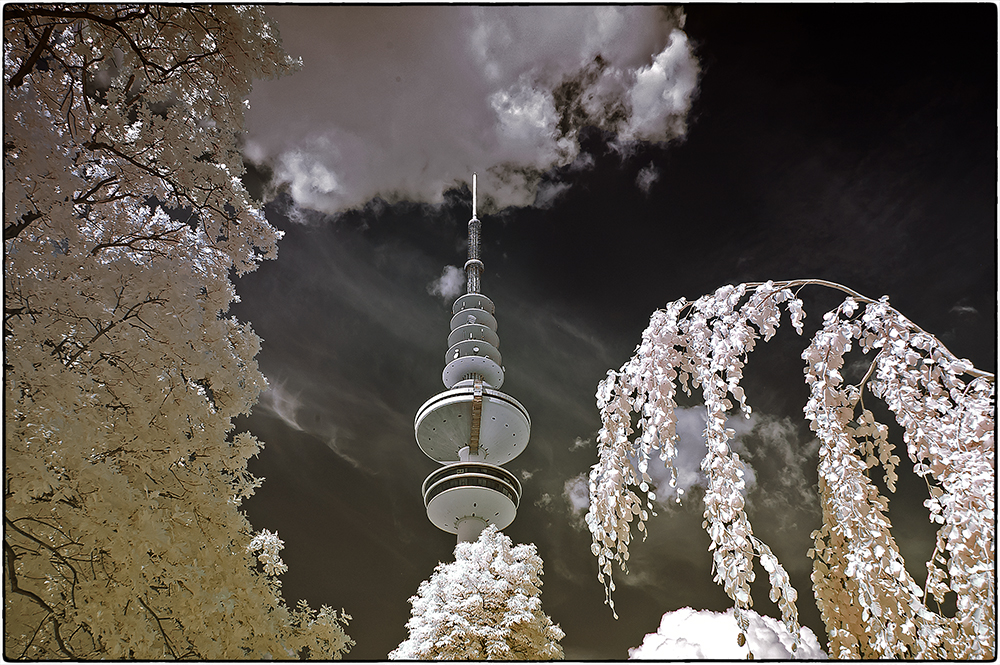 Blick auf den Hamburger Fernsehturm