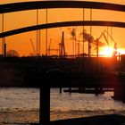 Blick auf den Hamburger Hafen in der Abendsonne