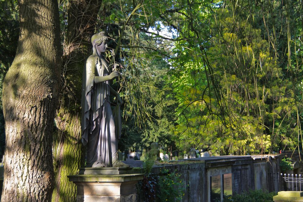 Blick auf den Hasefriedhof in OS