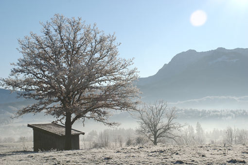 Blick auf den Heimgarten