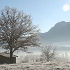 Blick auf den Heimgarten