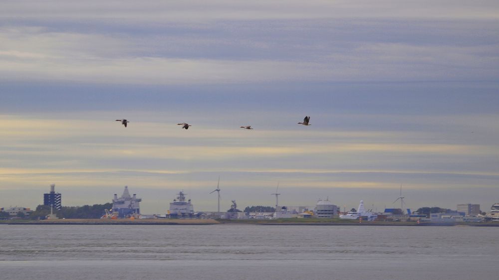 Blick auf Den Helder