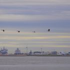 Blick auf Den Helder